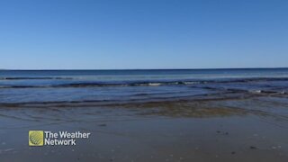 Glistening water of Roseway Beach on a peaceful day