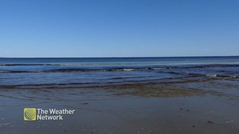 Glistening water of Roseway Beach on a peaceful day