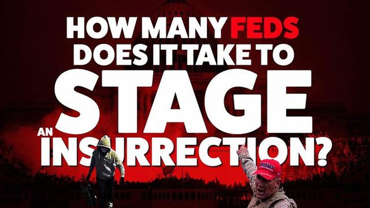 HOW MANY FEDS DOES IT TAKE TO STAGE AN INSURRECTION?