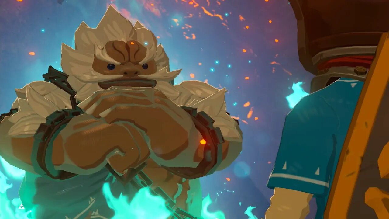 Breath of the Wild Master Mode 160