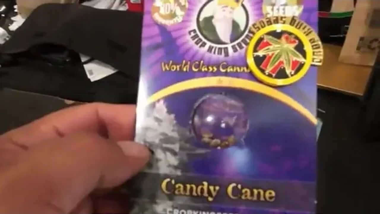 First seeds in the soil | Strain: Candy Cane