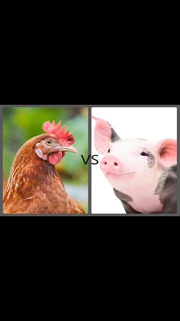 Chicken Flu 2024 vs 1976 Swine Flu