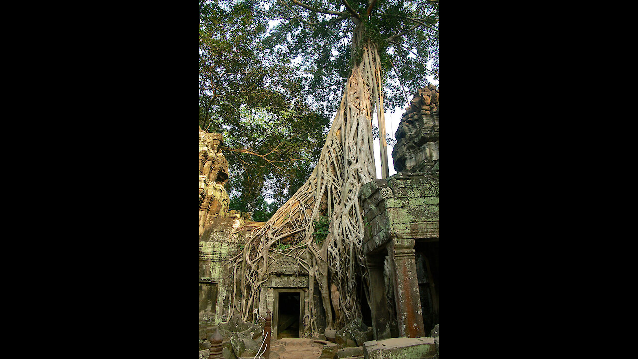 Cambodia's Temple Kingdom