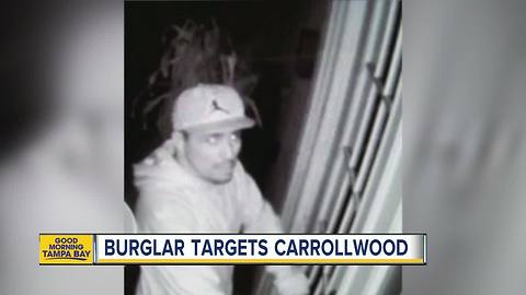 WANTED: Carrollwood serial burglary suspect