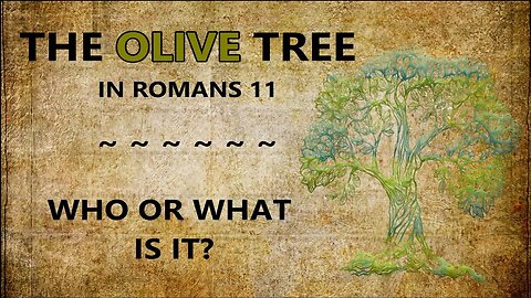 The Olive Tree in Romans 11