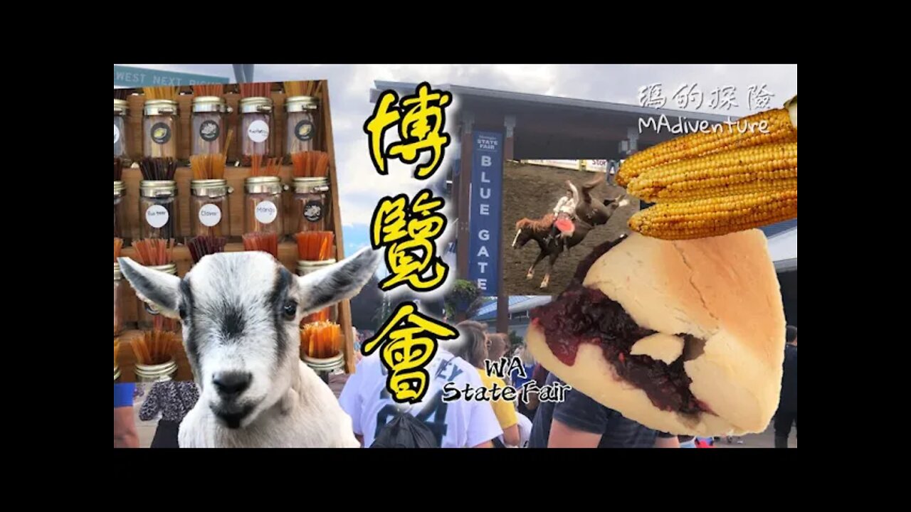 美國生活 | 華州博覽會Vlog一定要吃經典草莓司康!還有看神乎其技的牛仔競技表演 Washington State Fair Walkthrough and Rodeo