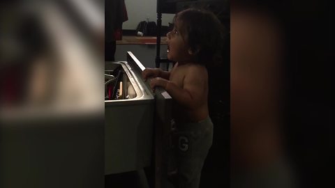 A Toddler Boy VS A Dishwasher