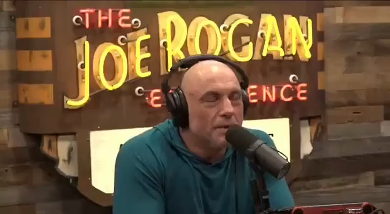 Elon Musk created an app that told him who won the election hours before everyone — Joe Rogan