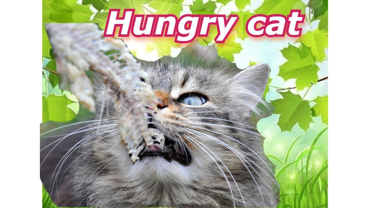 A Hungry cat devouring a fish