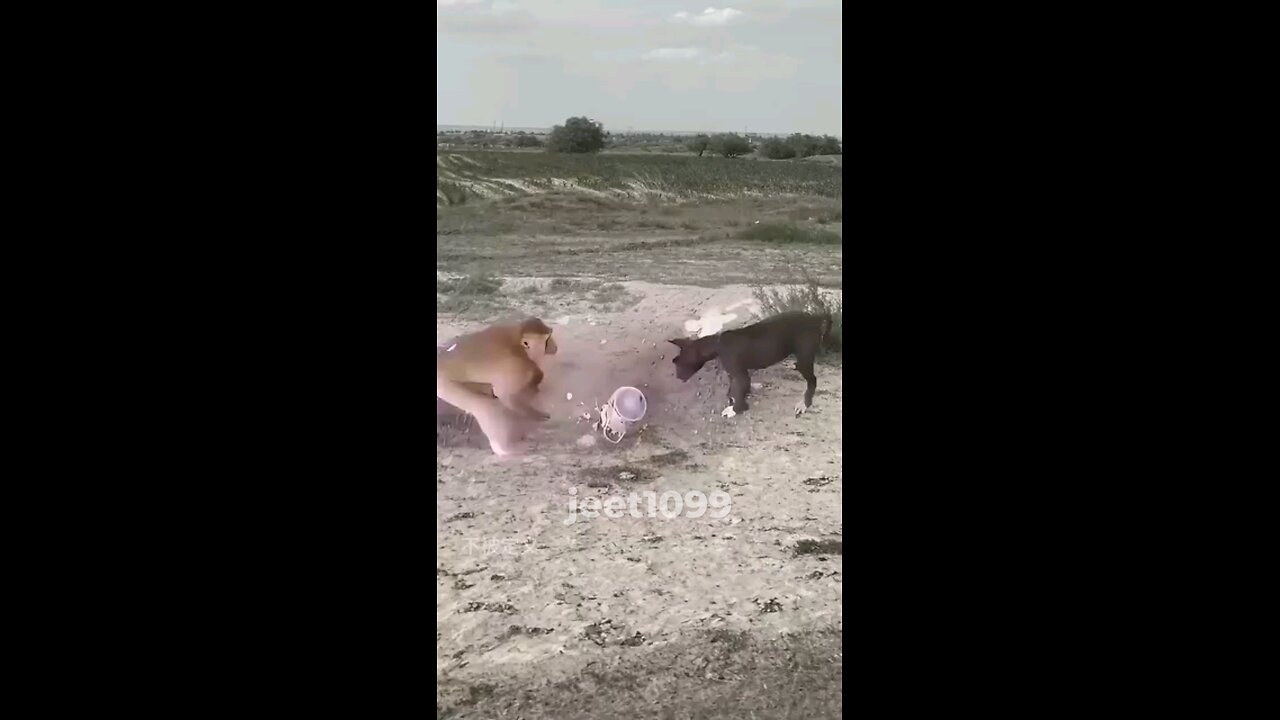 funny video part 07