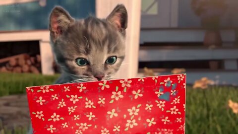Fun Pet Care Game - Little Kitten Adventures (New Update) - Play Costume Dress-Up Party Gamepaly