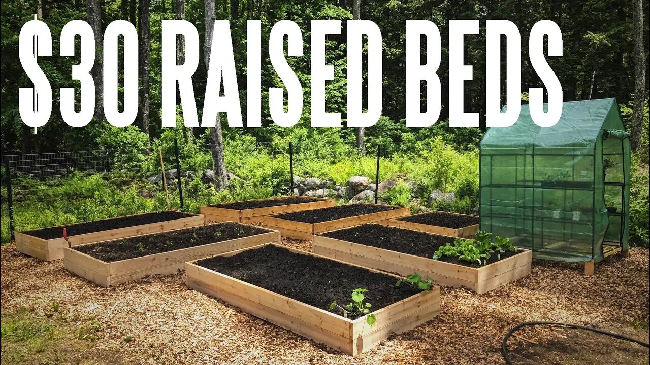 DIY Raised Garden Beds That You Can Build For $30 each