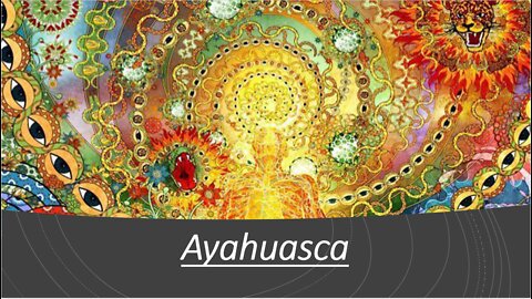 Ayhuasca Evidence - Risks & Side Effects