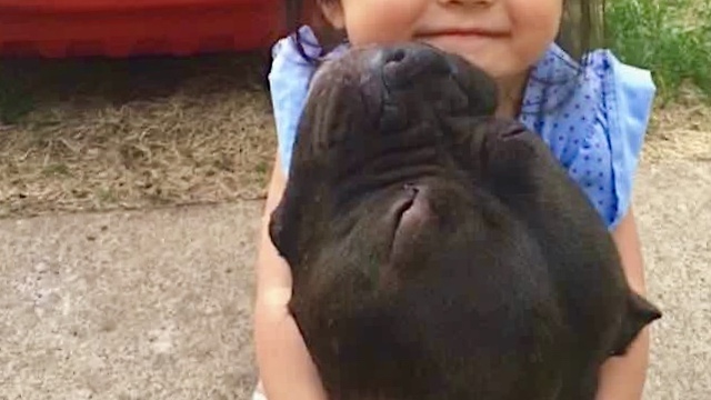 Baby Scolds Her Bully Puppy for Eating in Living Room