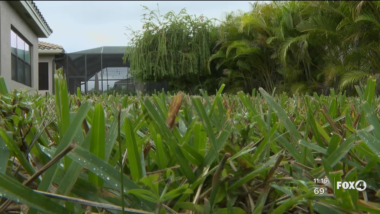 Fort Myers couple warns of pool contractor trouble