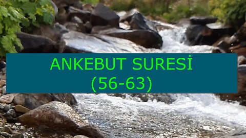 ANKEBUT SURESİ TİLAVETİ (56-63. AYET)