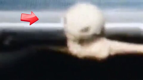 There was an alien under the car in front of us while we were driving! [Space]