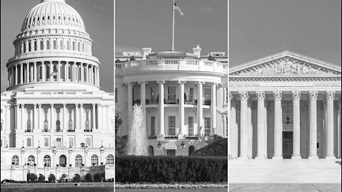 Ep. #81 The Death of the Three Branches of Government - The Ballot or The Rifle