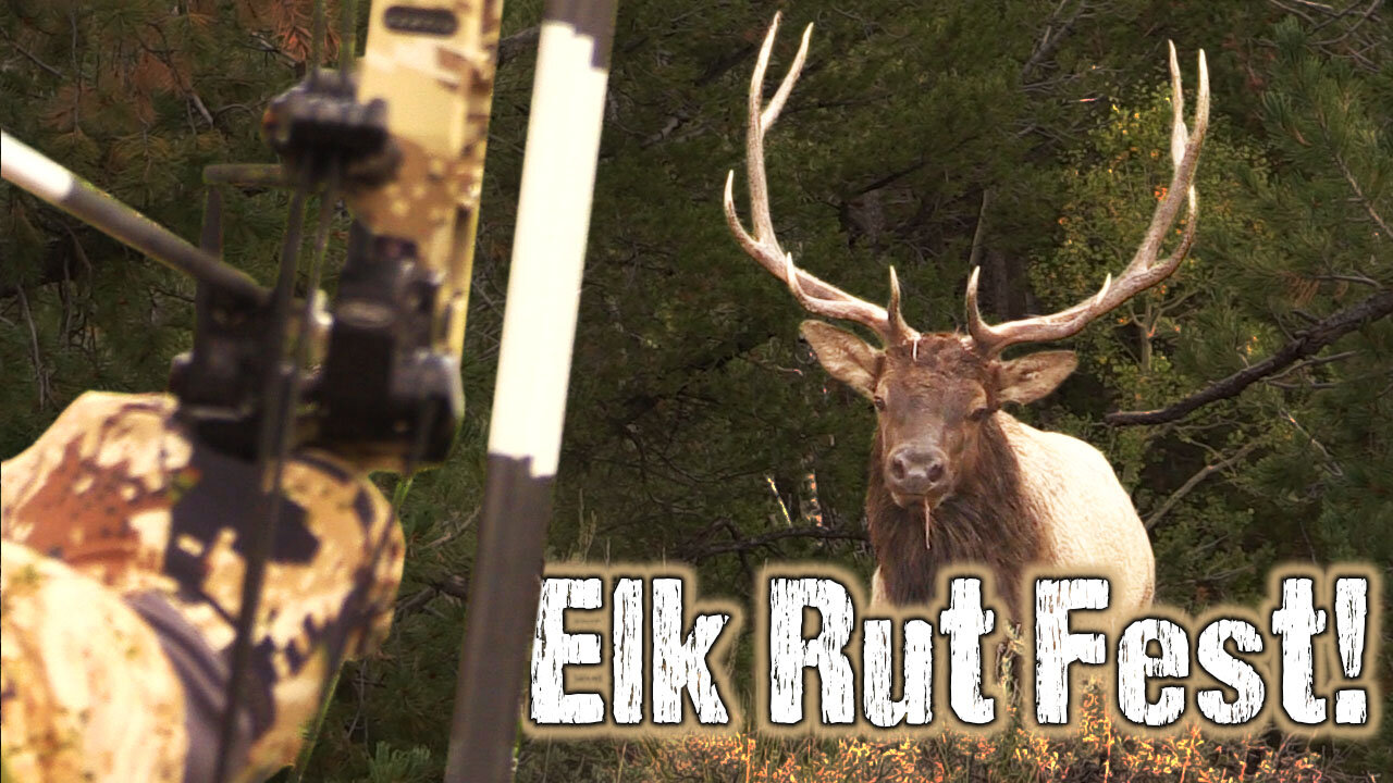 Public land bonanza! Elk hunting DIY