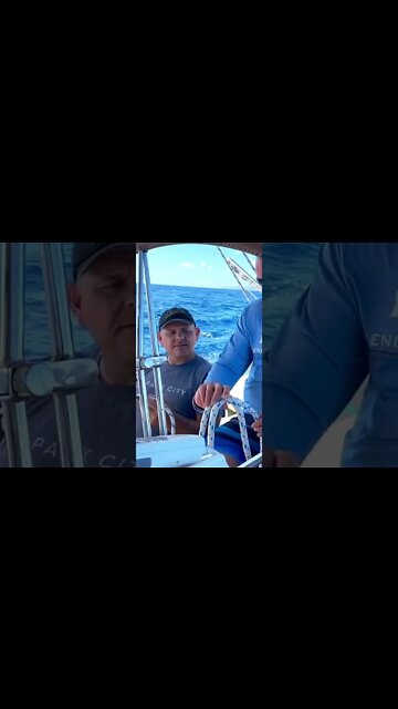 Sailing Stuff You Need To Learn #shorts