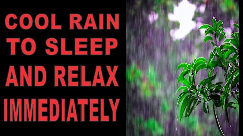 Interesting Rain to Sleep immediately, Rain to sleep, Relax, Study, Beat Insomnia, Reduce Stress