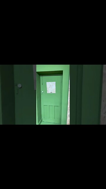 New Paint Job on the Museum! #dinosaur #museum #green #viral