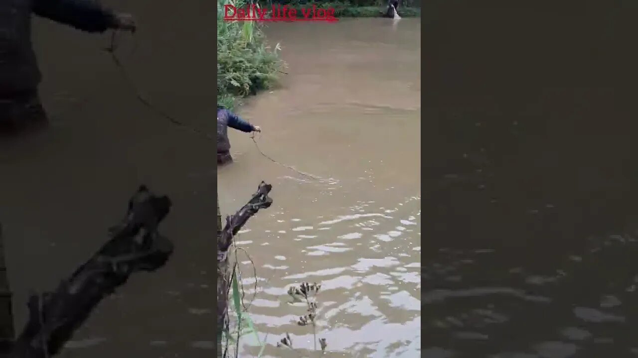 two people are catching fish
