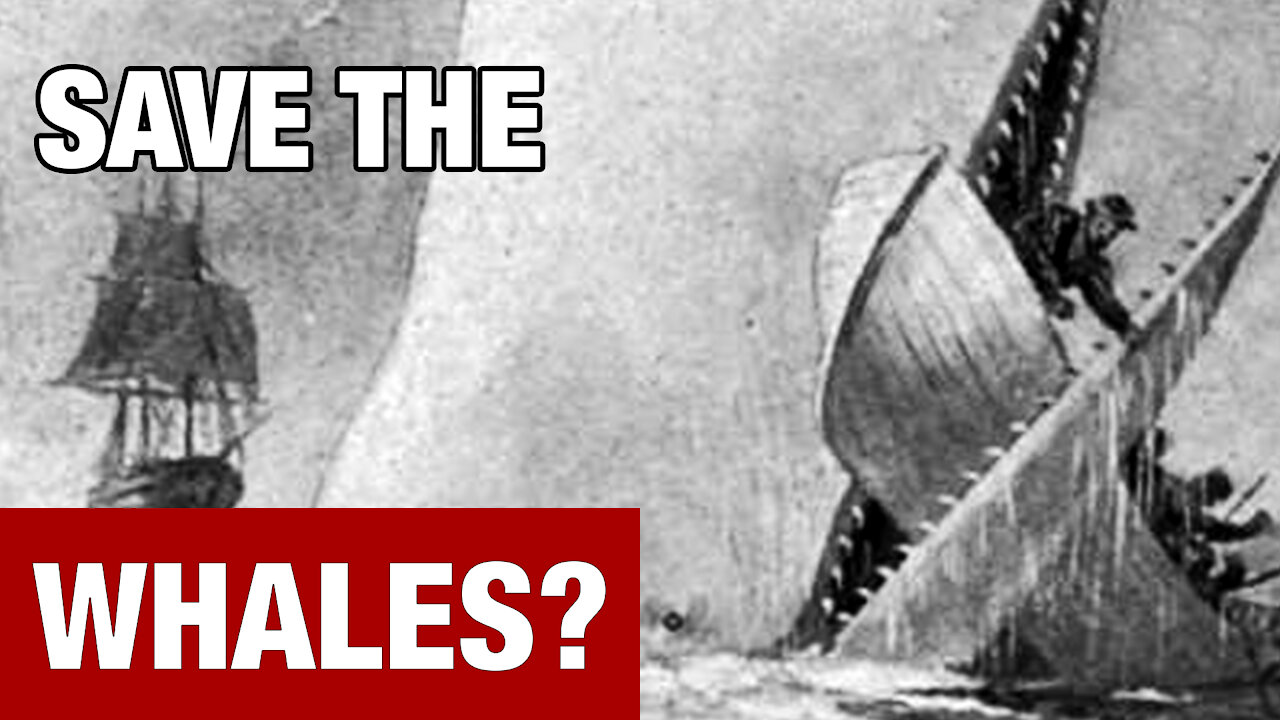 Unintended History: How A Billionaire Saved the Whales!