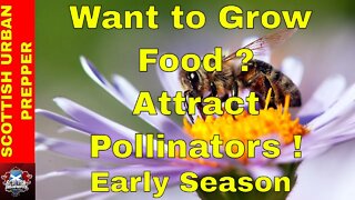 Prepping - Early Season Pollinators Prepare you Garden for Success