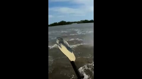 WHAT🤔IN THE LIVING🔥HELL IS THIS👀IN THE🚣WATER❓