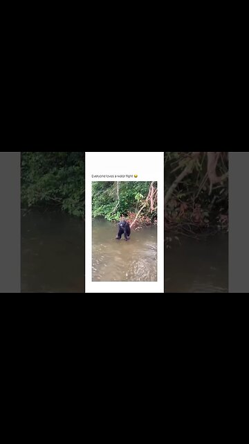 onilthegreat #shorts