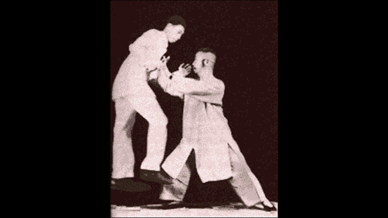 YANG STYLE Tàijí quán/Tai Chi Chuan ( 太極拳 ) | Cheng Man Ching Lineage