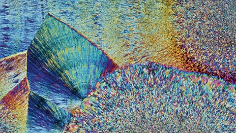 The Effects of Staining Procedures on Rabbit Neurons (1987) | Harold Hillman