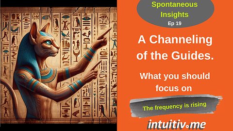 A channeling of the guides: What you should focus on - SI ep 19