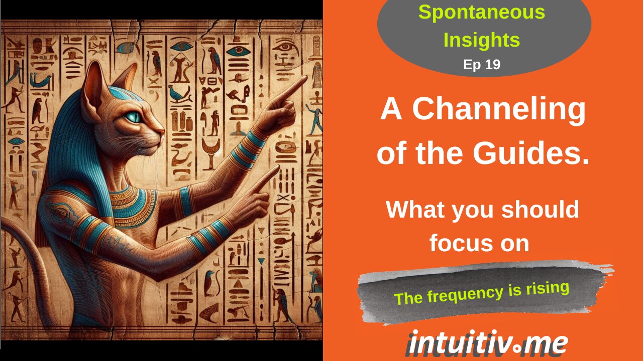 A channeling of the guides: What you should focus on - SI ep 19