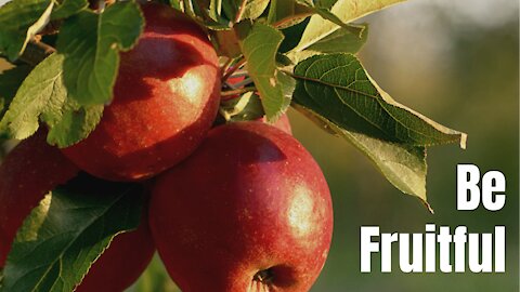 Be Fruitful