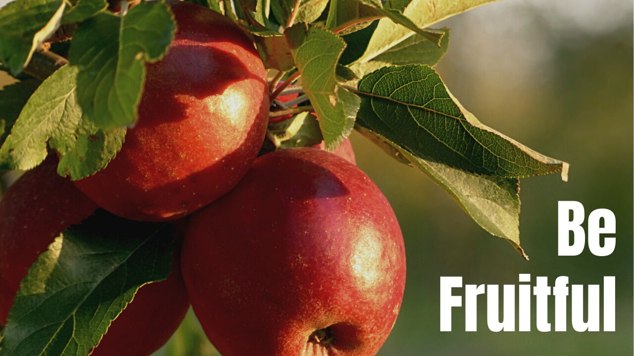 Be Fruitful