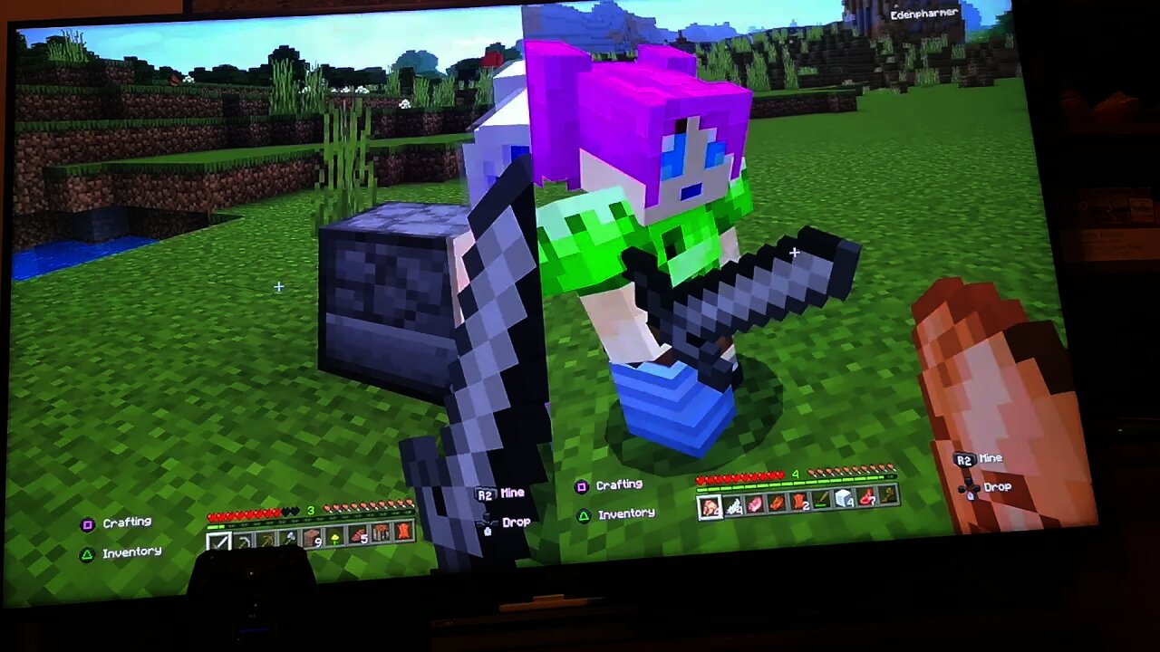 adventure 2 rosy and Lily's minefluff