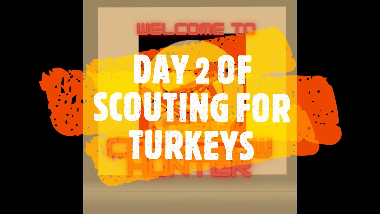 DAY 2 OF SCOUTING FOR TURKEY