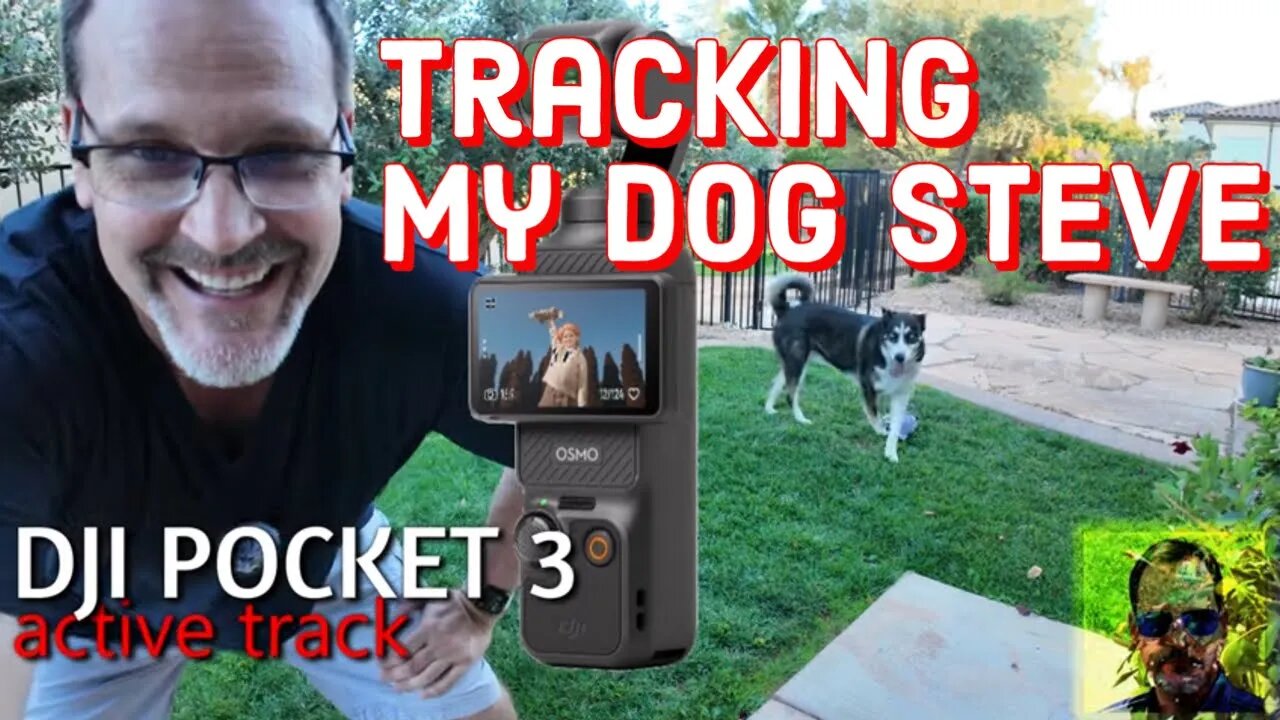 DJI POCKET 3 TRACKING WITH MY DOG STEVE