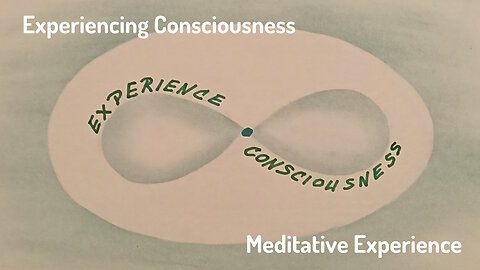 Experiencing Consciousness and Letting Yourself Be Shown the Truth - Meditative Experience #1