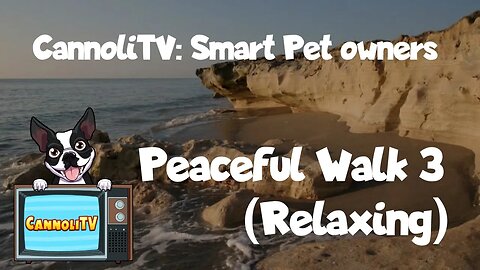 CannoliTV Video Library: Peaceful Dog Walk Along The Beach - 03