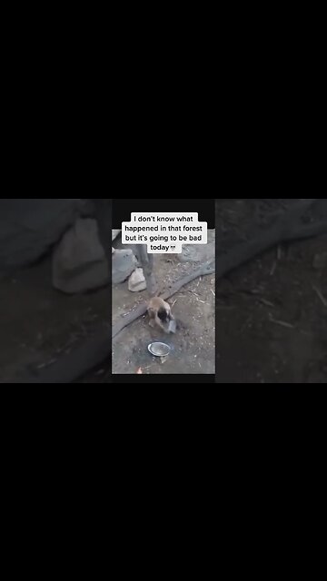 Bro not letting it slide this time around 😂😂 #shorts #subscribe #viral #shortvideo #reels #funny