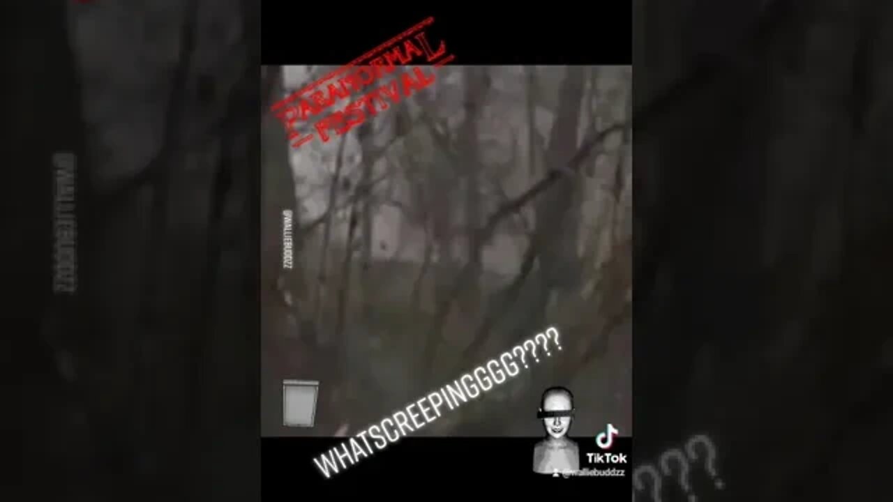 what's creeping
