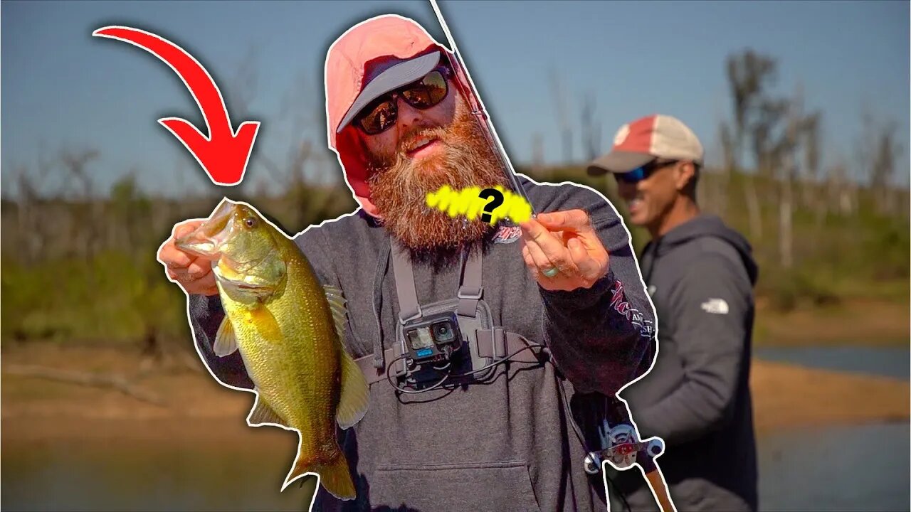 SO MANY people are WRONG about fall bass fishing…