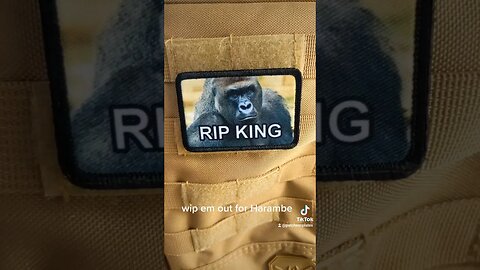 Harambe patch sad #shorts #harambe #dicksout