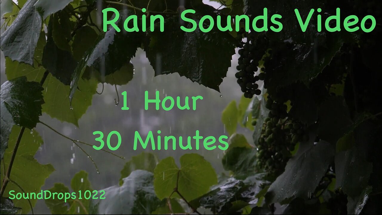 1 Hour 30 Minutes Rain Retreat: Deep Mindful Soothing