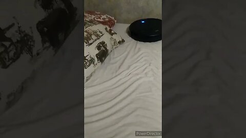 SOLVED! CRUMBS IN THE BED? ROOMBA LIFE HACKS