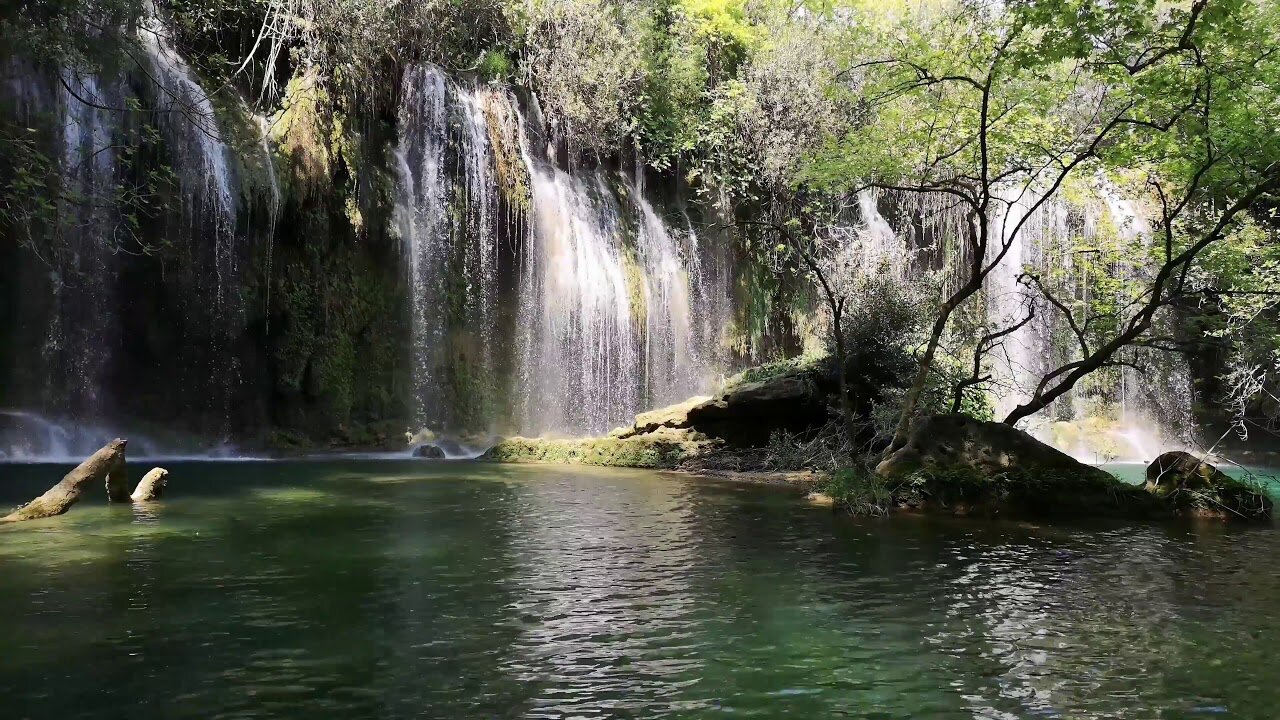 Relaxing Waterfall 3 Hours Rainforest Nature Sounds for Calming Sleep and Meditation