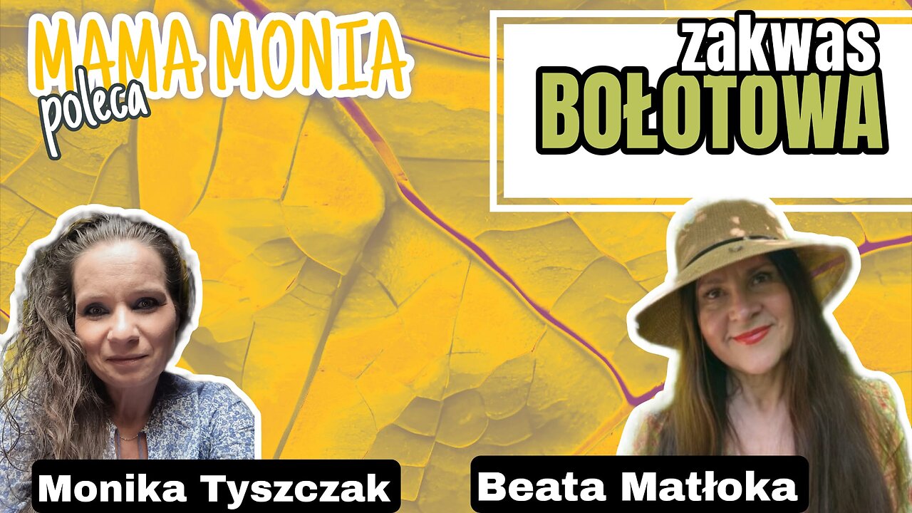 Mama Monia poleca: Zakwas Bołotowa - Beata Matłoka